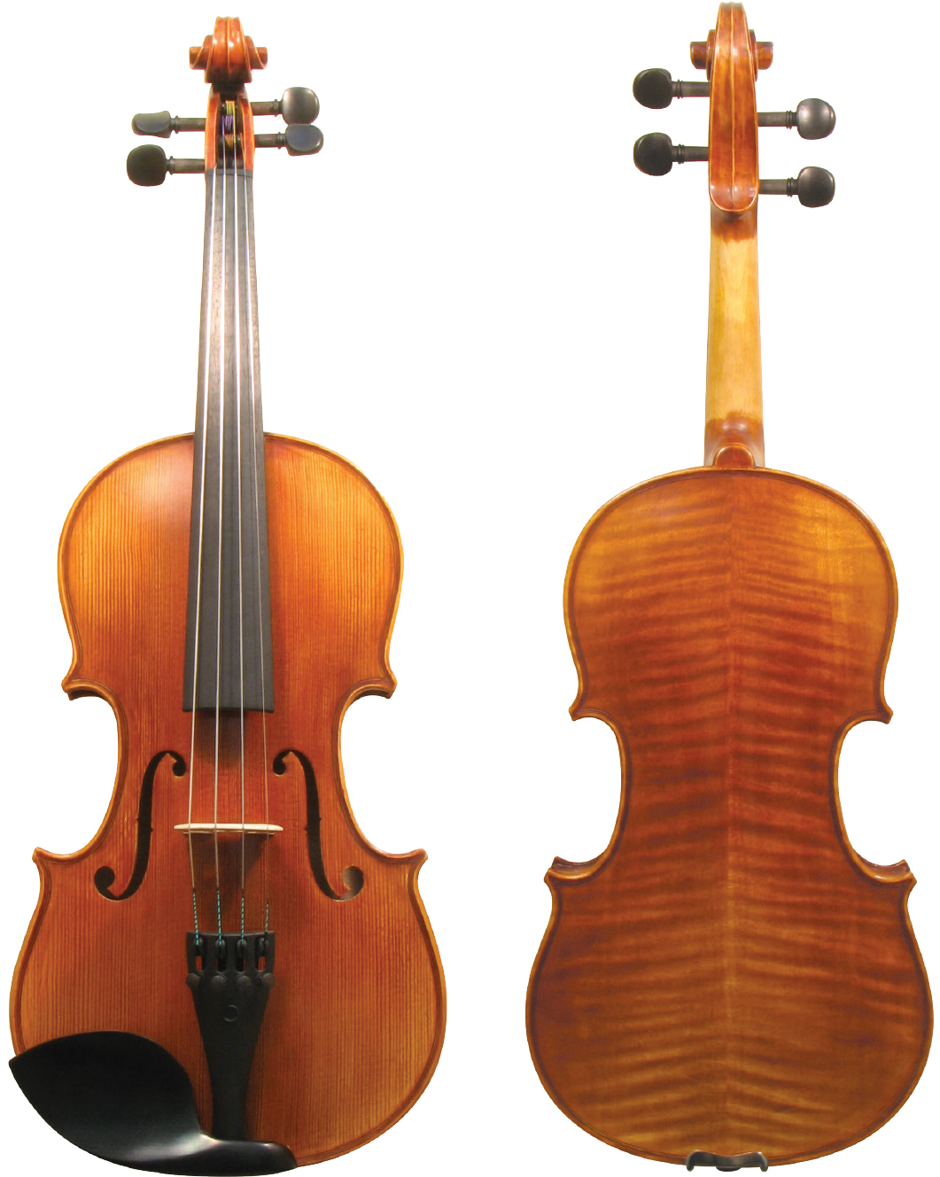 Prodigio violin