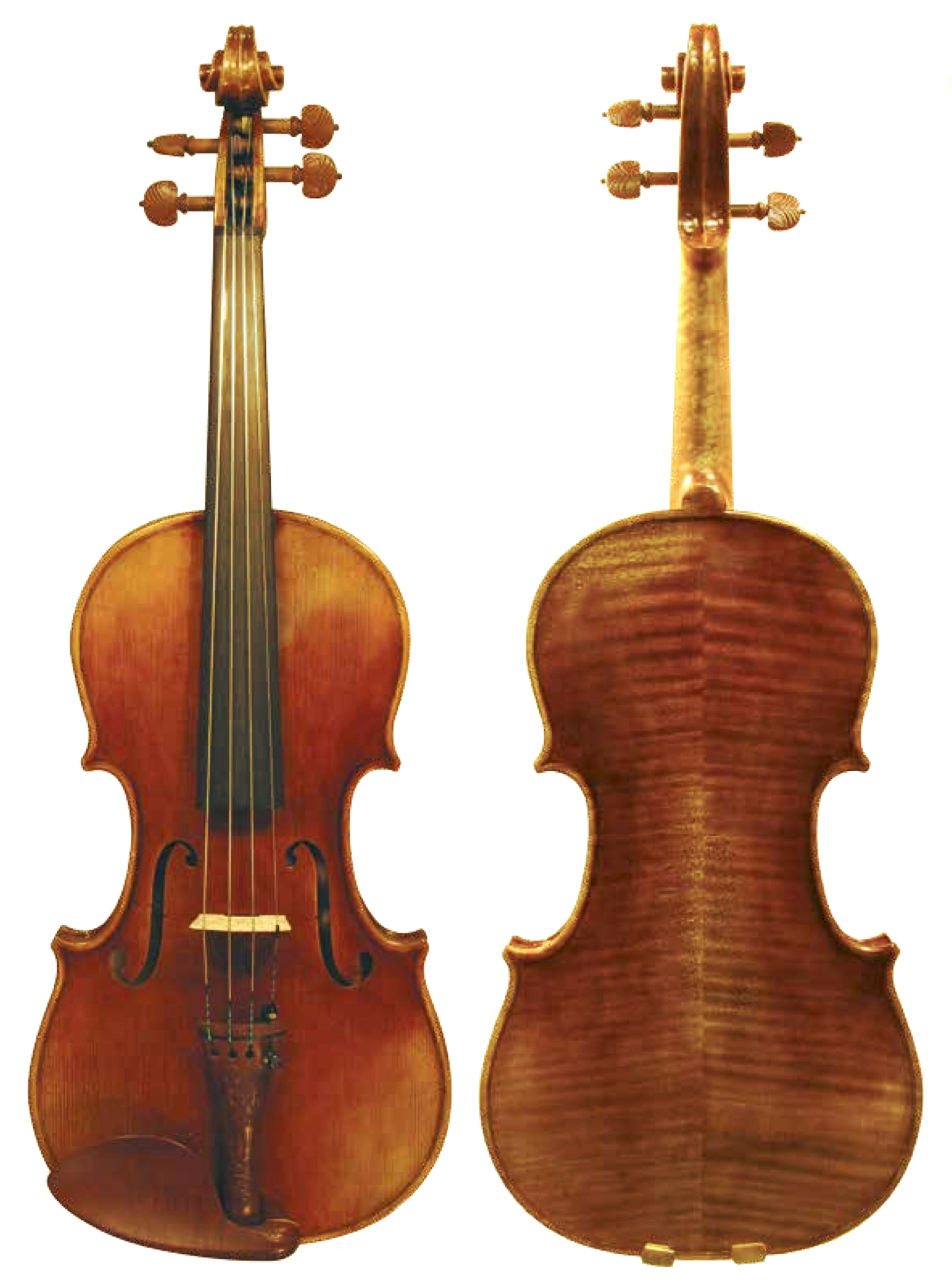 artista
              violin